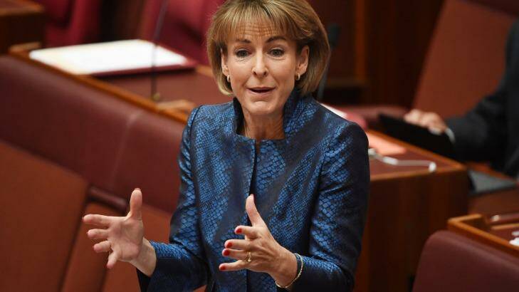 Snubbed: Employment Minister Michaelia Cash. Photo: Supplied