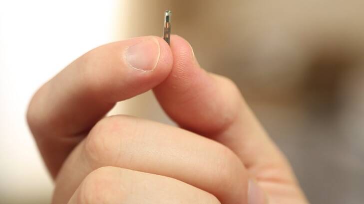 The bionic glass chips are about the size of a grain of rice.