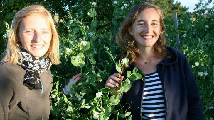 Salad suggestion: Marion Prouvost, of Lille, and Hortense Clavreul, of Compiegne, France, harvest snow peas.