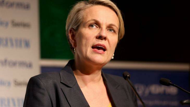 Labor's Tanya Plibersek says it was the right decision for the Gillard government to promise that no school would be worse off under the Gonski funding reforms  Photo: Wayne Taylor