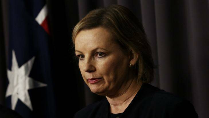 Health Minister Sussan Ley says she had a change of mind on national regulation. Photo: Andrew Meares