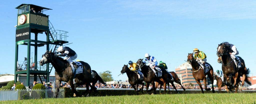 Fawkner, ridden by Nicholas Hall, wins the Caulfield Cup on 2013. Photo: Pat Scala