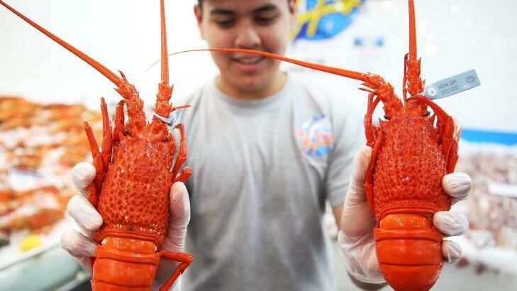 Lobsters for sale: The 36 marathon sale at the fish markets is 'logistically a very big task'. Photo: Brendon Thorne