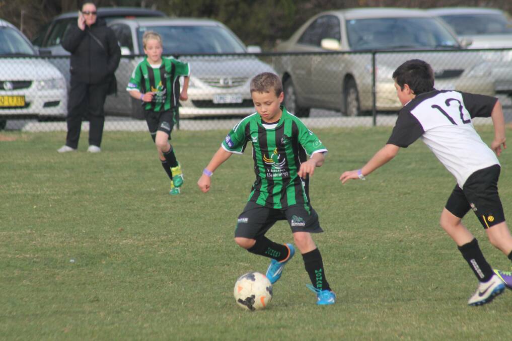 Highlights from the Monaro Panthers games in the 2014 Kanga Cup youth football tournament in Canberra from July 6 to 11.