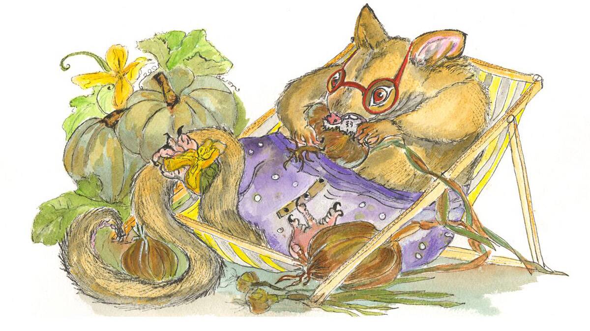 “Professor Possum had onions for tea. How strange was that! In purple undies.”  Iluustration by Robyn Goodwin.  