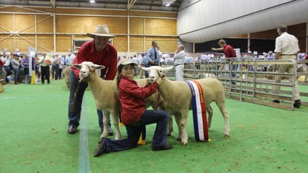 Royal success for White Suffolks