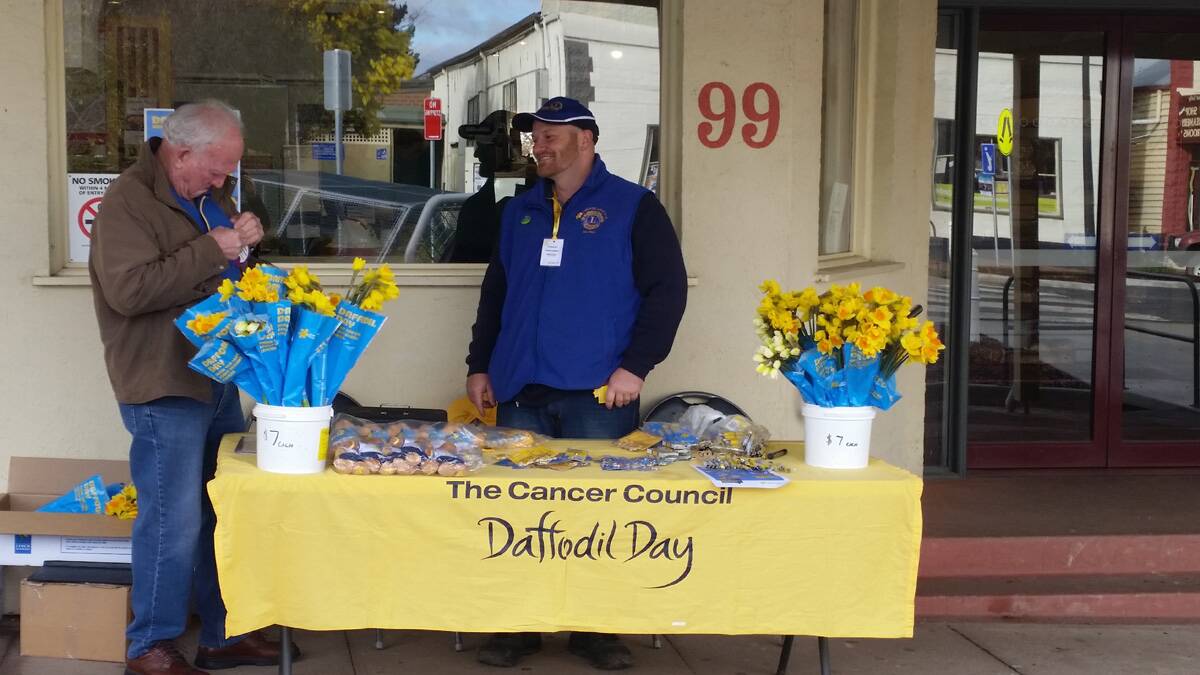Last Friday was collection day for the Cancer Council Daffodil Day. This activity is a key plank in the Council’s fund raising activity.   