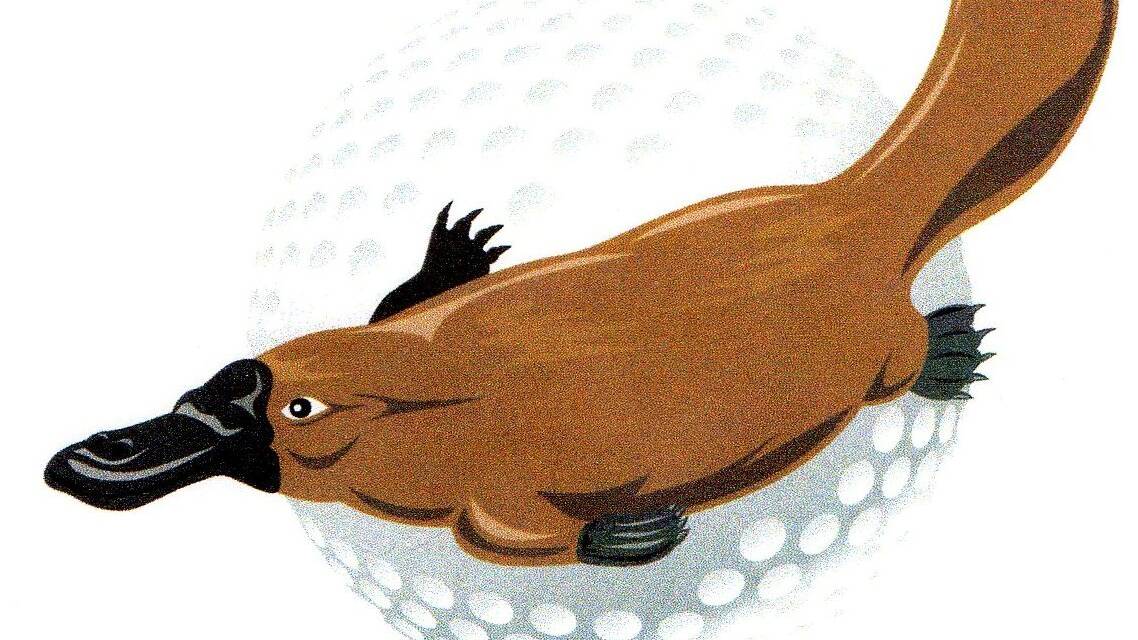 Golf club News