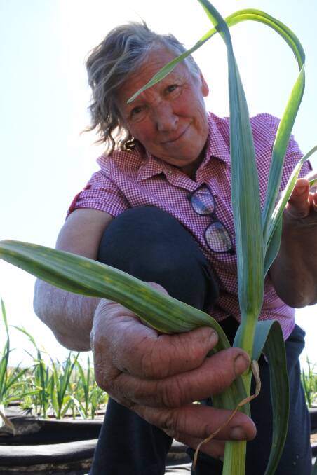 Garlic grower Bronwyn Richards. Photo: Elspeth Kernebone.