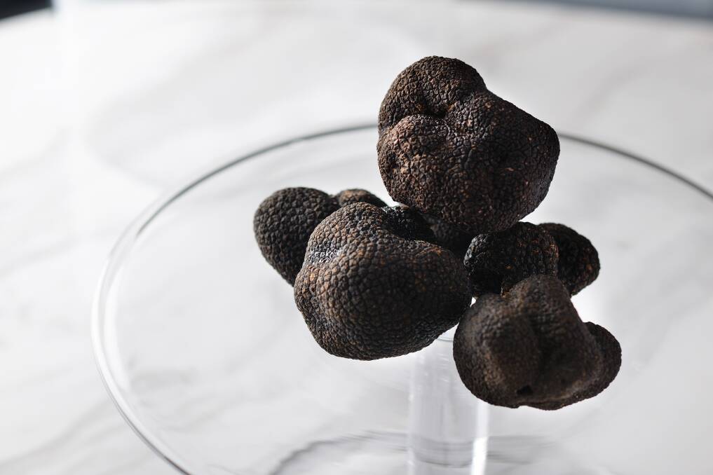 Local truffles on show at BCS