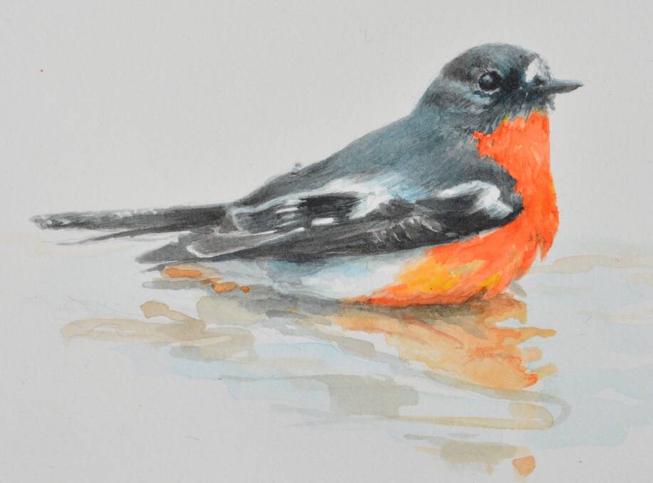 FLAME ROBIN: A Linda Dening watercolour, just one of the 'Paint On Paper' pieces by Braidwood's many artists on display at the Left Hand. Courtesy: Linda Dening