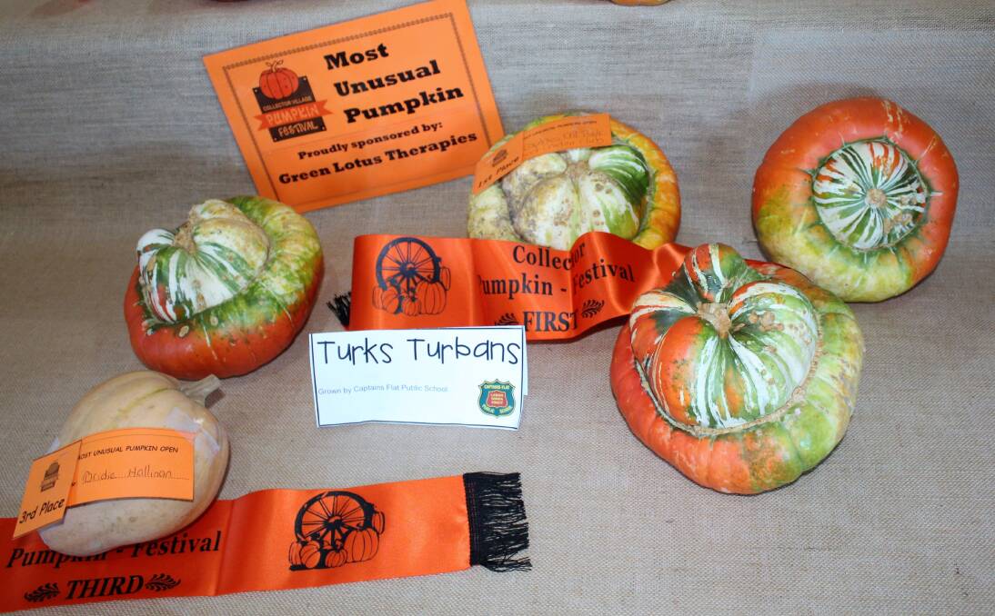 First prize for Most Unusual Pumpkin was awarded to the students of the Captains Flat Public School, who showed off many, varied 'Turks Turbans'. Photo: David Dawson
