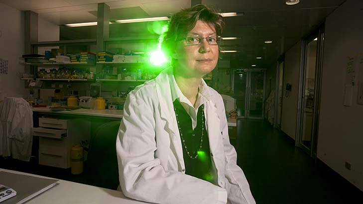 New hope ... the team at Walter and Eliza Hall Institute, which includes Professor Jane Visvader (pictured), have discovered the role women's hormones play in the development of breast cancer.