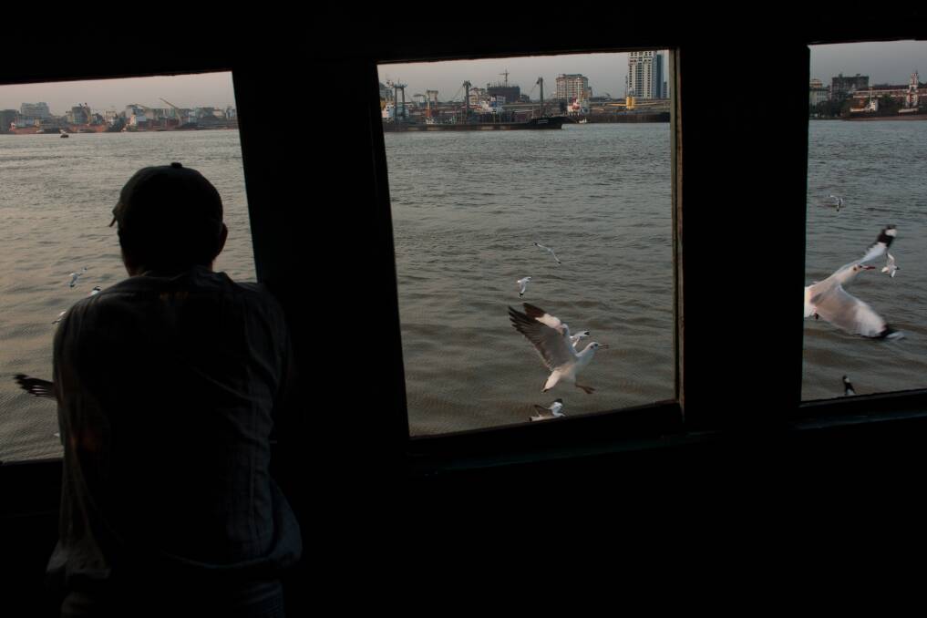A man feeds seagulls from the window of a ferry on February 11, 2013 in Yangon, Burma. Photo: Chris McGrath/Getty Images