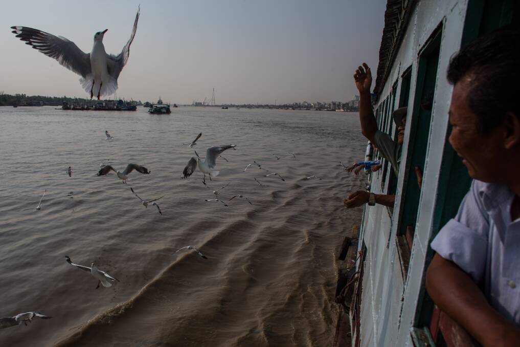 A man feeds seagulls from the window of a passenger ferry on February 11, 2013 in Yangon, Burma. Photo: Chris McGrath/Getty Images