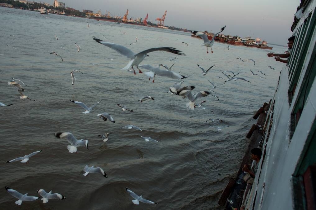 A man feeds seagulls from the window of a passenger ferry on February 11, 2013 in Yangon, Burma. Photo by Chris McGrath/Getty Images