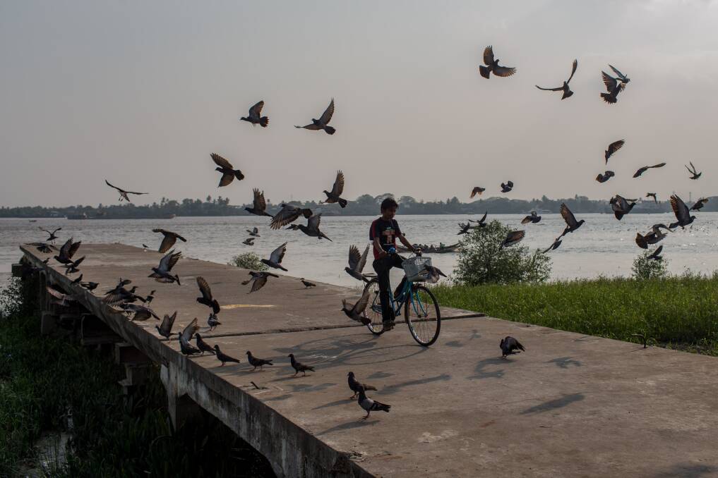 A boy rides his bike through a flock of birds at a jetty on February 13, 2013 in Yangon, Burma. Photo: Chris McGrath/Getty Images