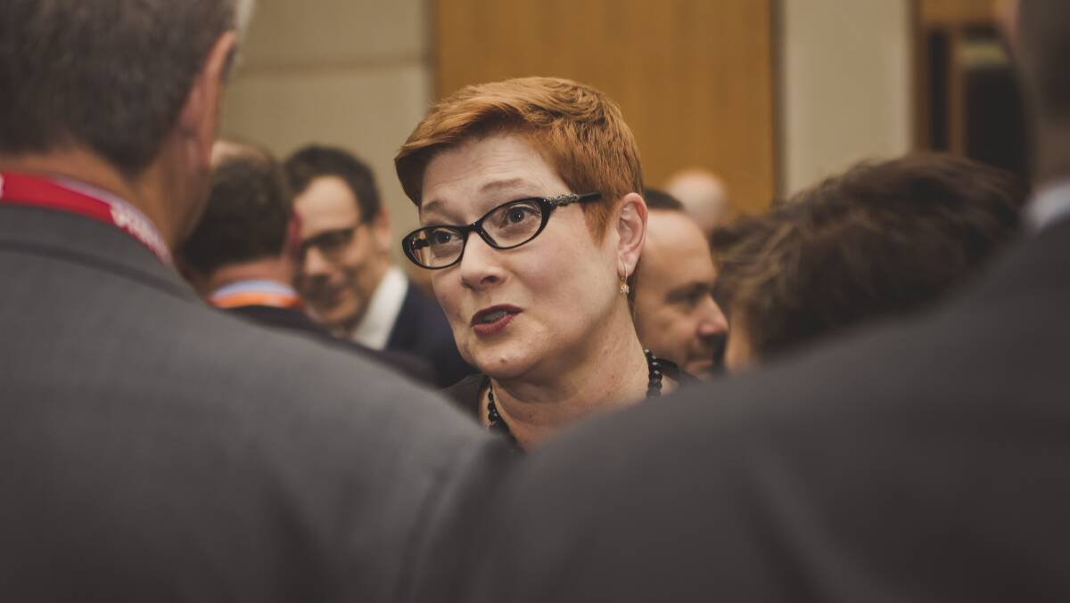 Foreign Affairs Minister Marise Payne at a parliament fundraiser. Picture: Jamila Toderas