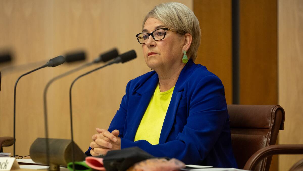 Greens senator Barbara Pocock asked the AFP about their contracts. Picture by Gary Ramage