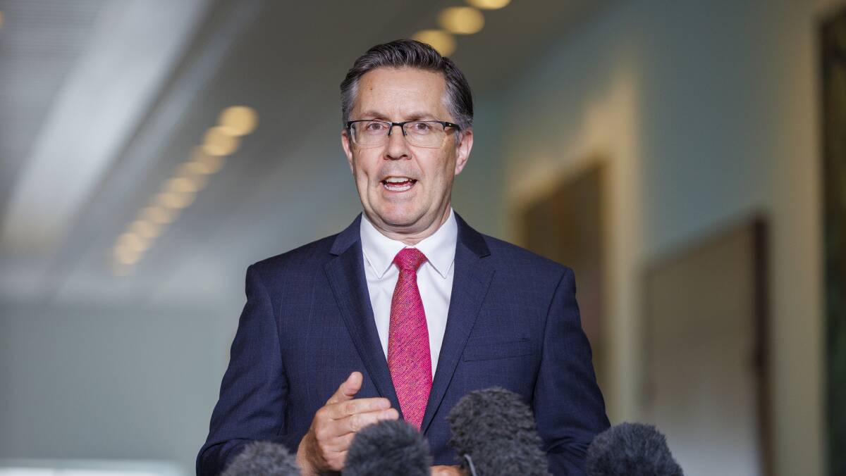 Minister for Health and Aged Care Mark Butler announced increased controls on vaping at the press club. Picture by Keegan Carroll