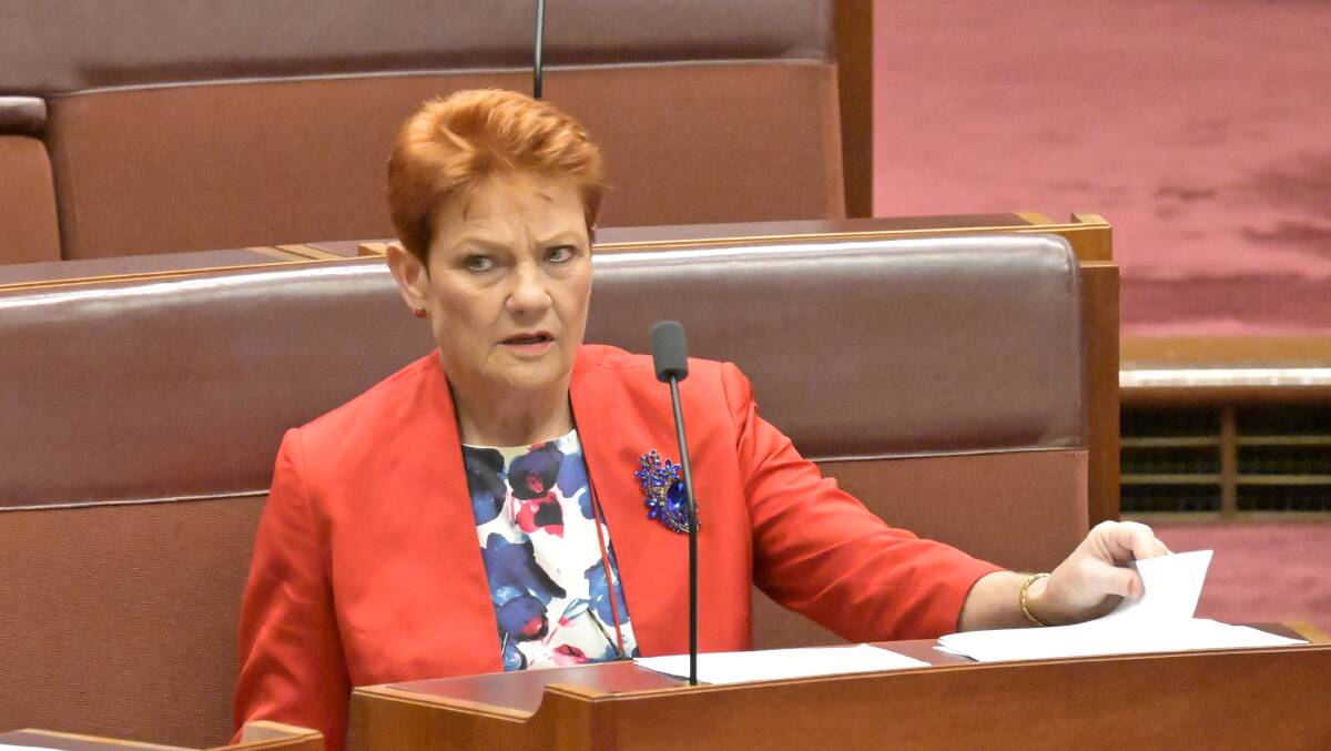 Senator Pauline Hanson. Picture by Keegan Carroll