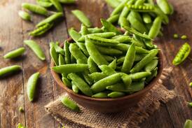 PEAFECTION: Snow, green and sugar snap peas are versatile veggies offering fantastic flavour and texture. Pictures: Shutterstock