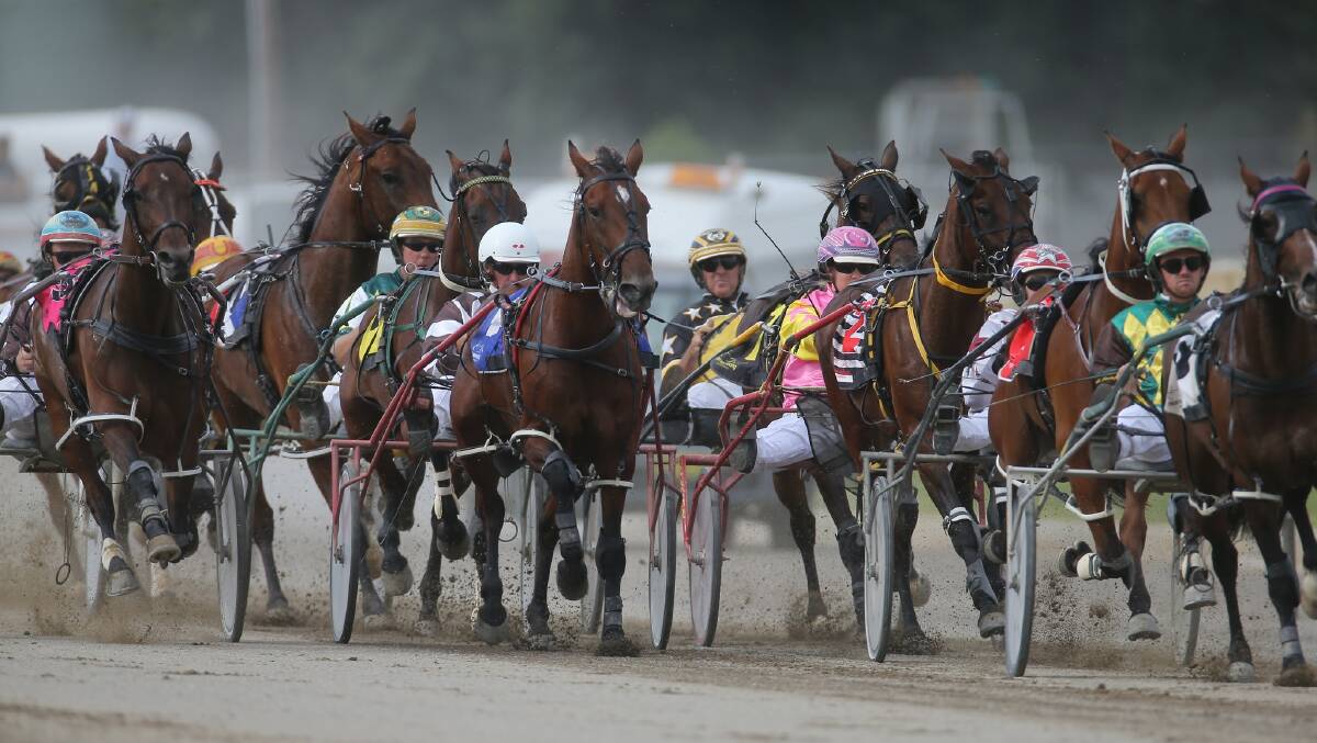 GOULBURN HARNESS ACTION: Driver/ trainer Brad Hewitt and Im Jay Tee pushing hard toward the finish line in an action packed race at Goulburn Paceway back in January. Photo: Greig Lord
