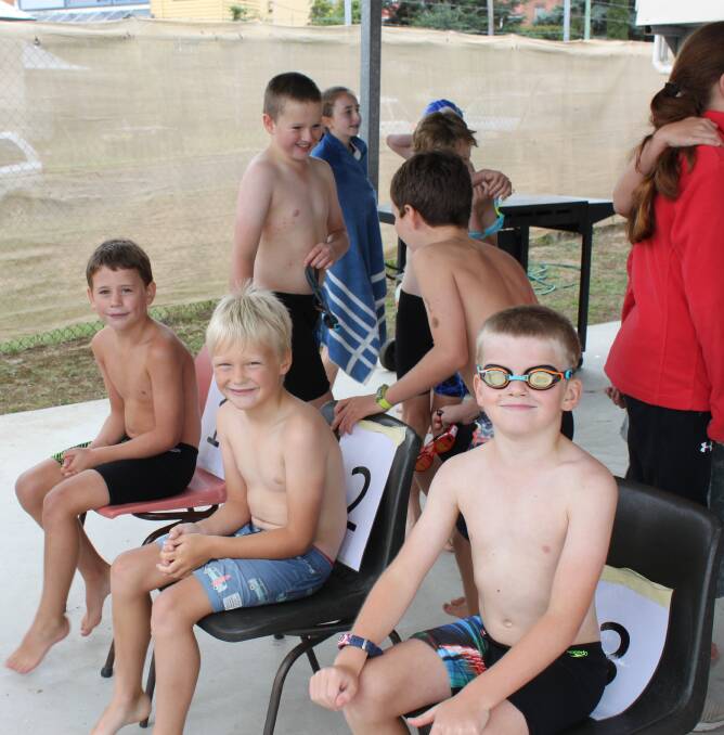 Archer, Oscar and Angus ready for their race on Friday at the St Bede's swimming carnival