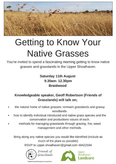 Native grasses workshop