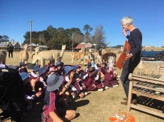 Harry Laing reads Alpacas with Maracas to local children and Millpond's alpacas.