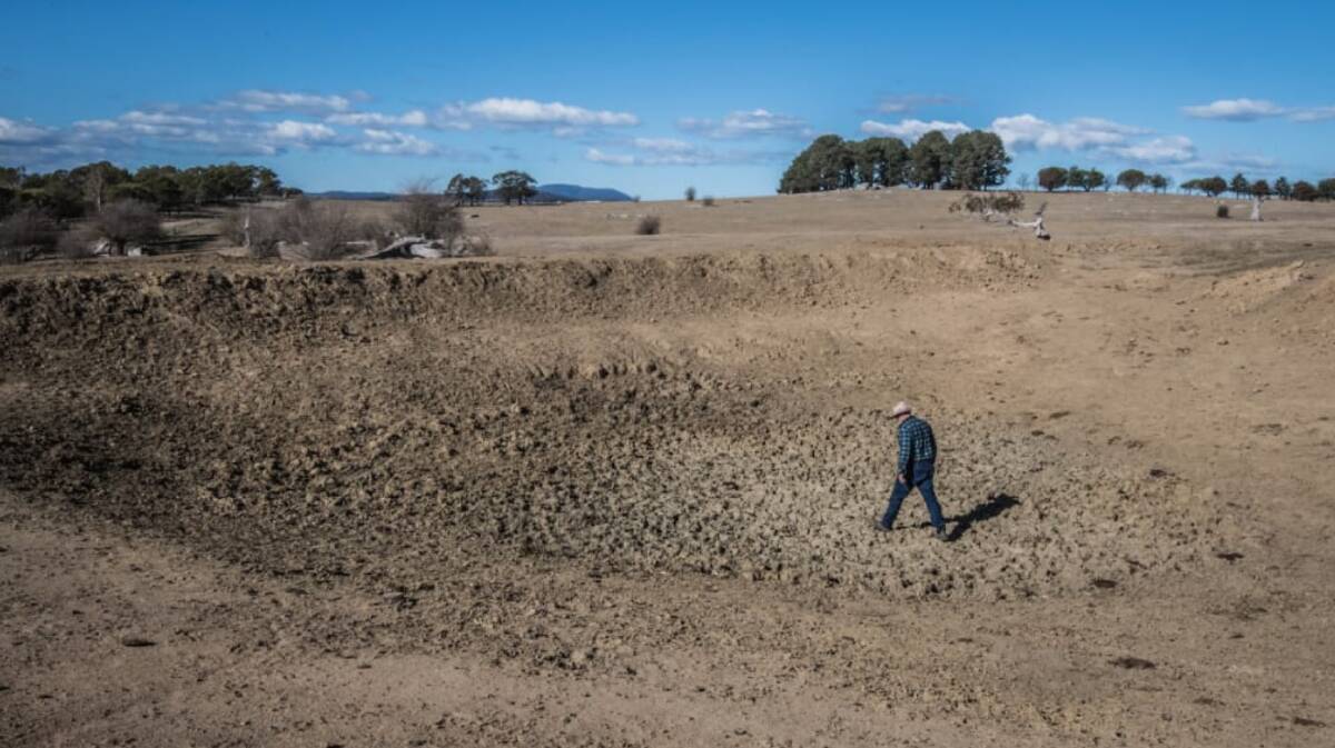 Bedervale in Braidwood farmer Mark Horan walking through one of the 20 dried dams on his property. Photo: Karleen Minney