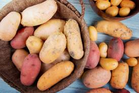 Basically, store potatoes in a cool, dry and, most importantly, dark place. Picture Shutterstock