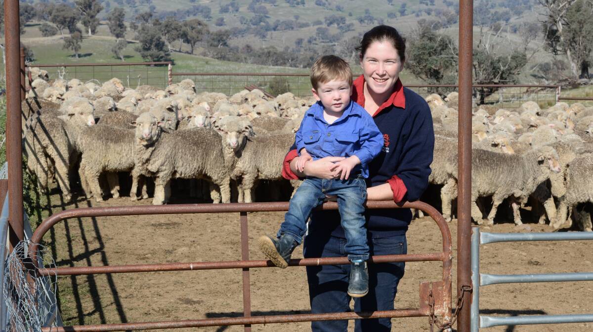 Emily Carlon and son Hamish, then 2, in a yard of Merino wether lambs with shearing underway at lower 'Sylvia Vale', Binda in 2017. Photo: Rachael Webb