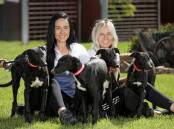 Shes A Pearl pups here with Hayley Moffitt and Jodie Lord, are tipped to be the sale topper at the GRNSW Auction in May. Picture supplied