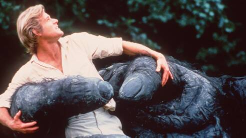 A scene from King Kong Lives. Picture: Supplied