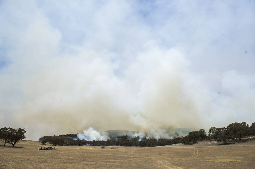 A backburn being conducted by farmers at Butmaroo Station on Saturday. Picture: Dion Georgopoulos