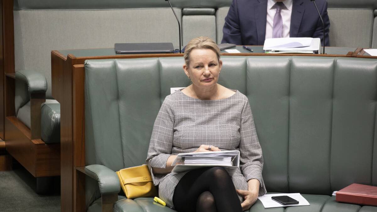 Environment minister Sussan Ley Picture: Sitthixay Ditthavong