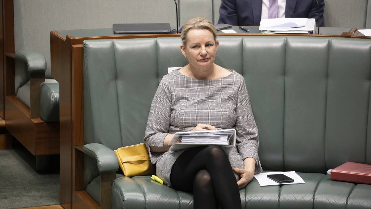 Environment Minister Sussan Ley during question time on Thursday. Picture: Sitthixay Ditthavong.