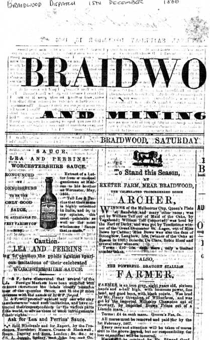 Advertisement for Archer standing stud, from Braidwood Dispatch, December 15, 1866.