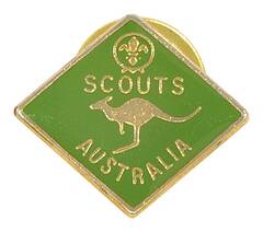 1st Braidwood Scouts 90th anniversary
