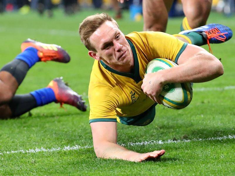 Dane Haylett-Petty returns to the Wallabies XV when they host the All Blacks in Sydney.