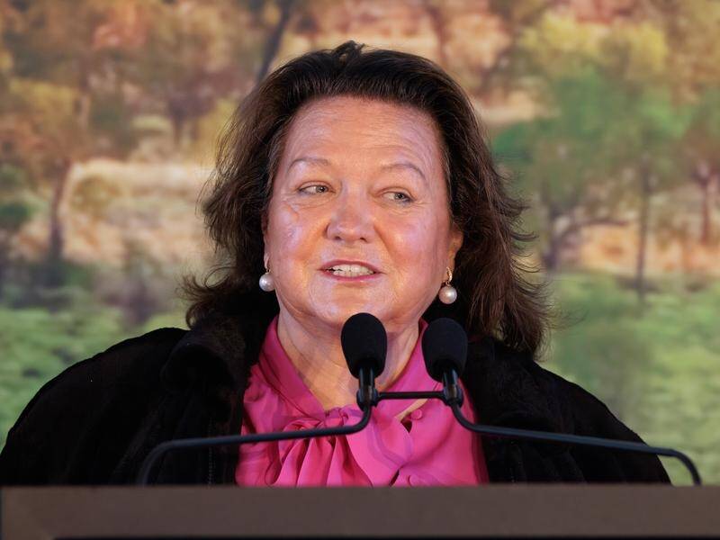 Gina Rinehart has been accused in court of urging her son's solicitor to "throw him under the bus". (Richard Wainwright/AAP PHOTOS)