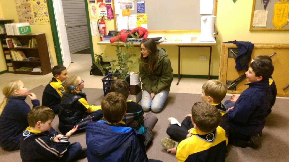 Scouts learn about Landcare
