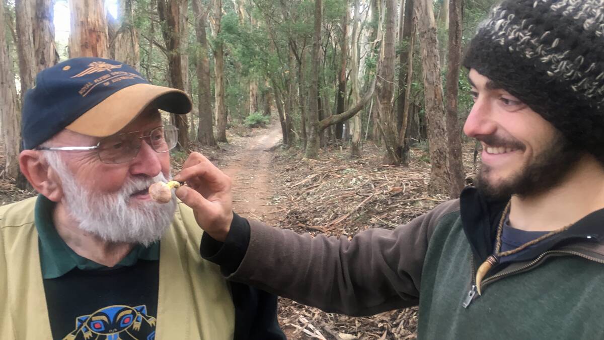 Emeritus Professor Jim Trappe of Oregon State University, a world leading Mycologist and his associate Mycologist Todd Elliot searching for native truffle near Braidwood.  