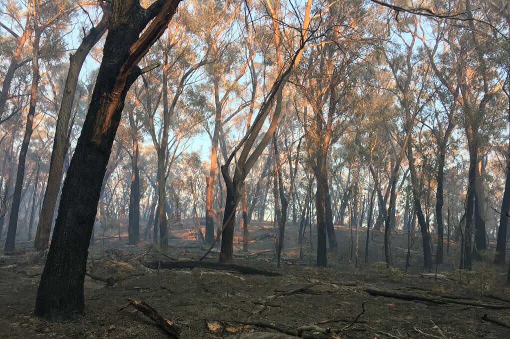 Smoke hangs heavy on the fire ground. Photo: Russell Buzby.