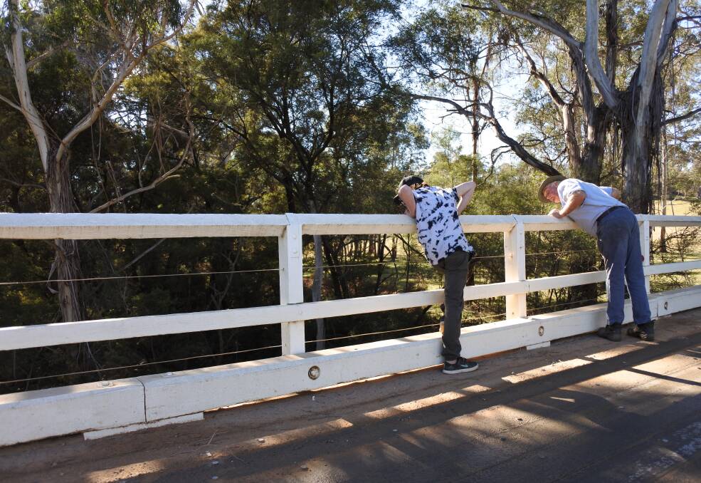 Noah Williams and Bill Chalmers look for fish over the Charleyong Bridge. Photo: Elspeth Kernebone.