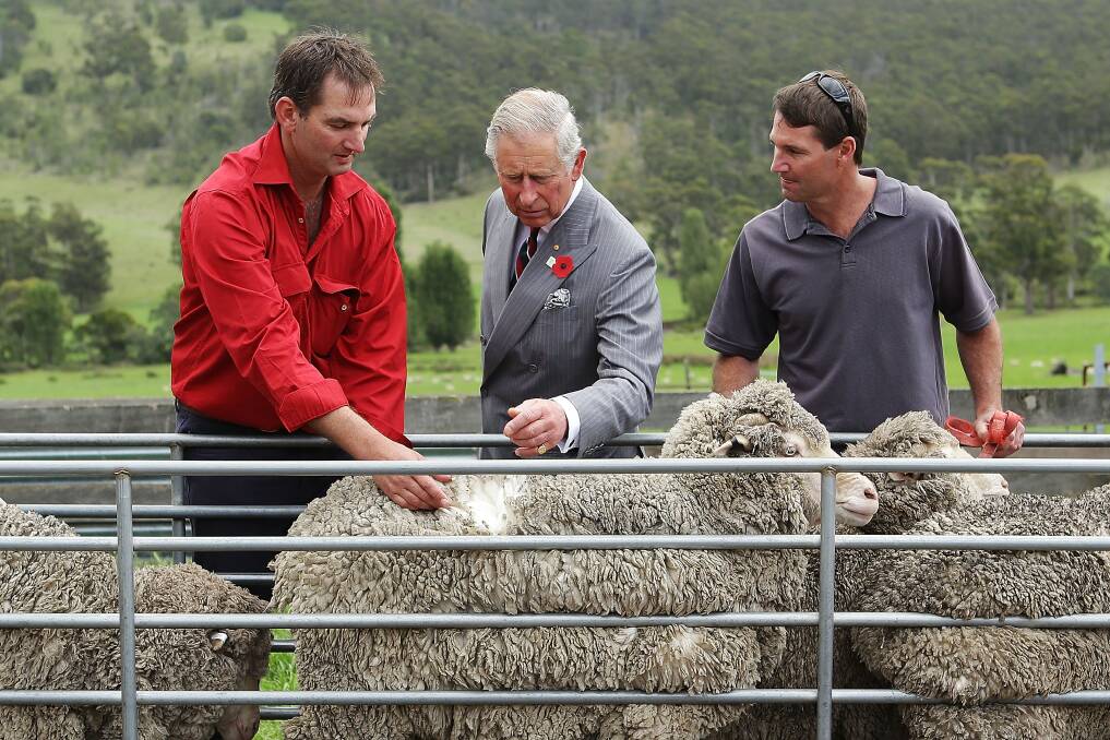 Prince Charles, Prince of Wales and Leenavale Stud members Brent and James Thornbury observe sheep being mustered into shearing shed yards at Leenavale Sheep Stud on November 8, 2012 in Sorell, Australia. The Royal couple are in Australia on the second leg of a Diamond Jubilee Tour taking in Papua New Guinea, Australia and New Zealand. (Photo by Brendon Thorne/Getty Images)