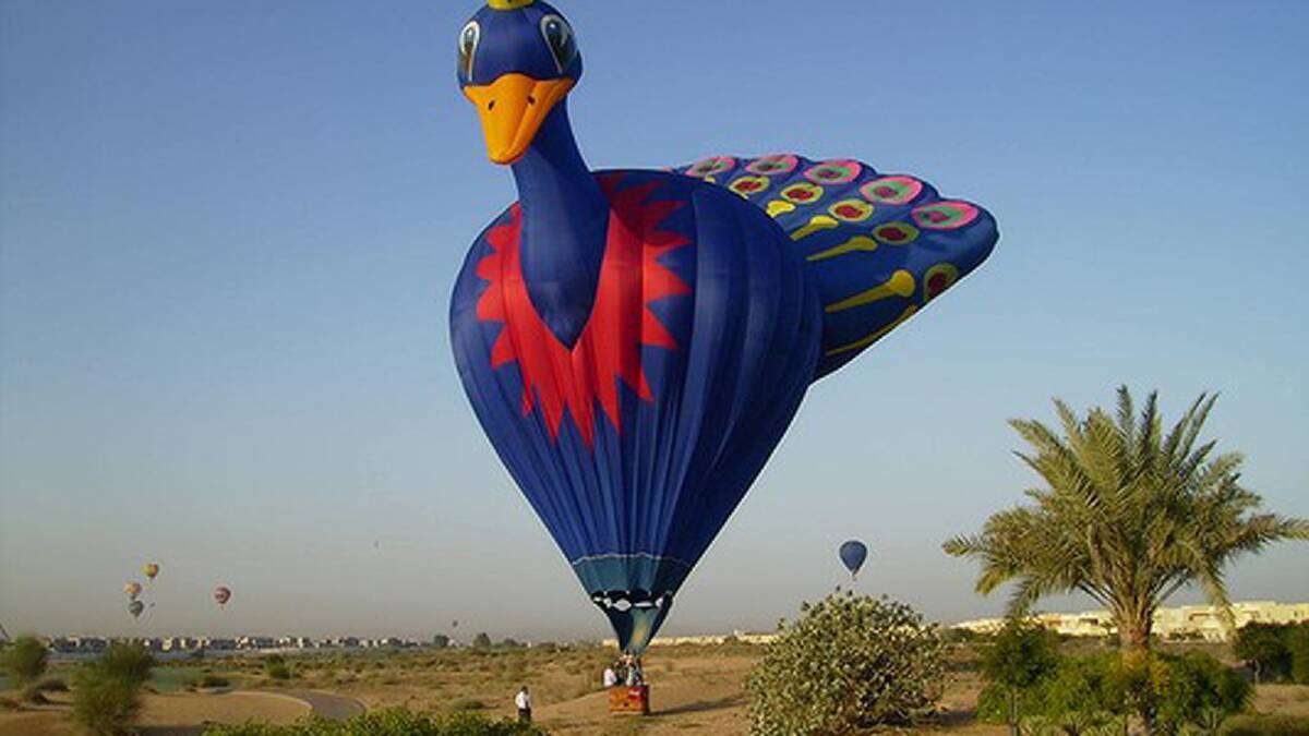 A giant peacock will take flight over Canberra for the Centenary Balloon Spectacular. Photo: Supplied