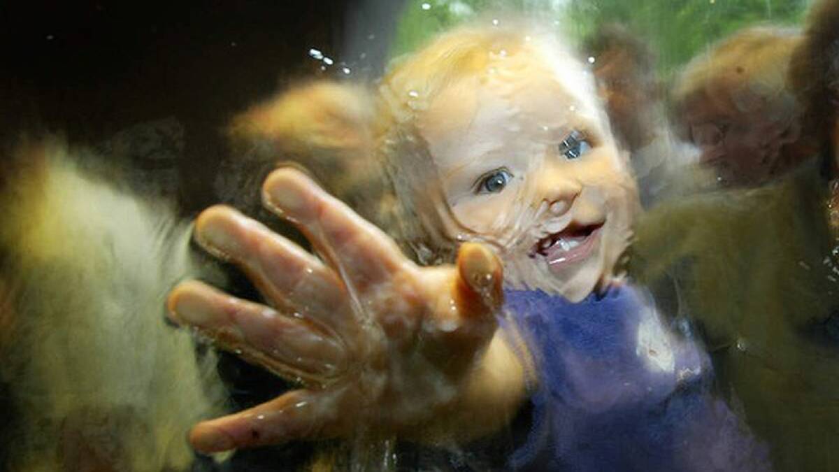 Opening of the National Gallery of Victoria. 10 month old Sydney Stewart of Port Melbourne tries the water wall, which was turned back on. December 4, 2003. Photo: Paul Harris