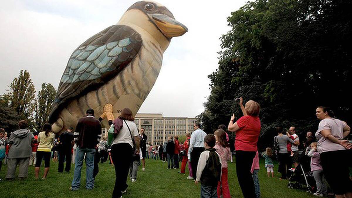 The Kookaburra Balloon from Canowindra drew huge crowds in 2011. Photo: Alex Ellinghausen